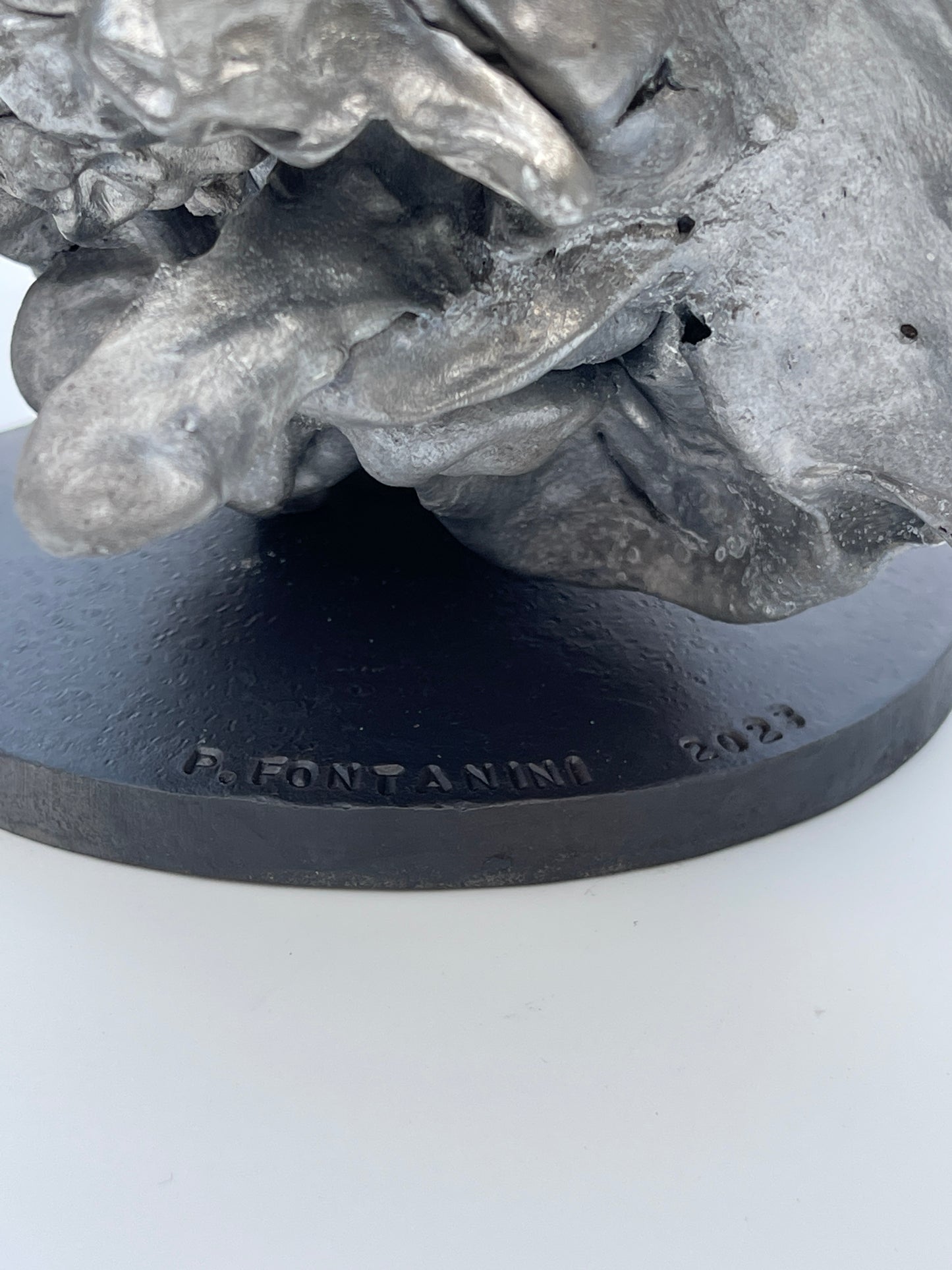 Casting with Nature - Ice