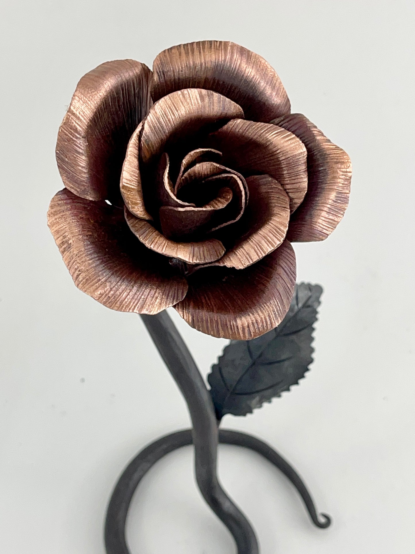 Copper and steel rose with scrolled base